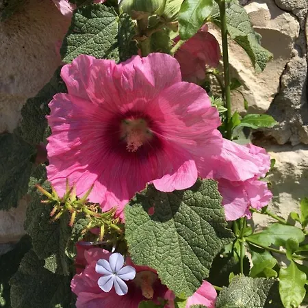 Bed and breakfast Le Soleil Do' Ré