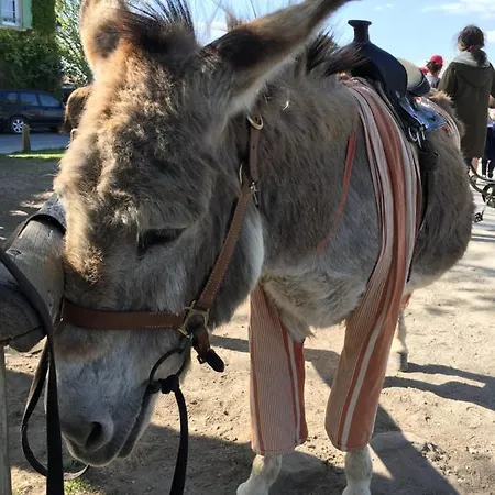 Le Soleil Do' Ré Couette-café 3*